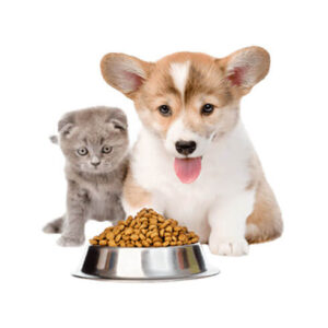 Alimentación de mascotas